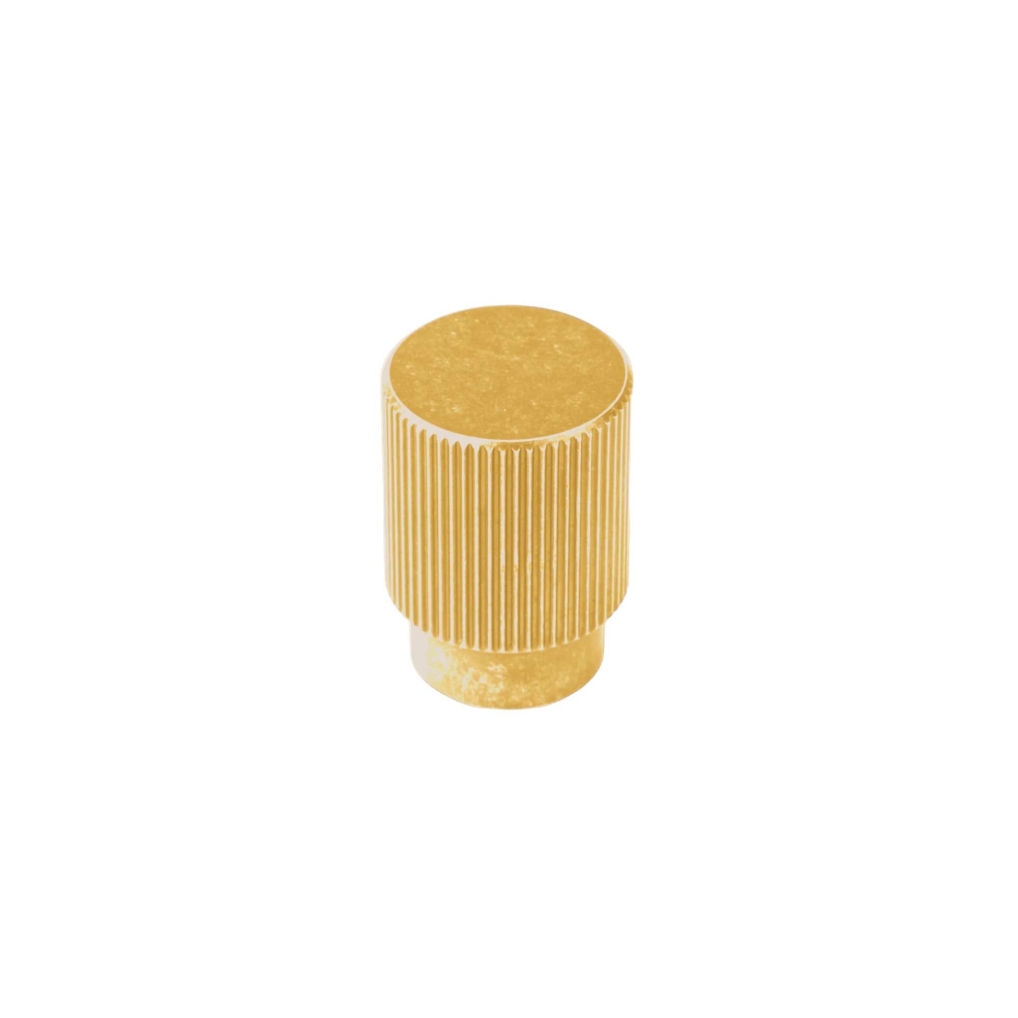 Arpa | Knop i Børstet Messing Ø 22 mm x D 31 mm Viefe VF-0583022L291 FINICC