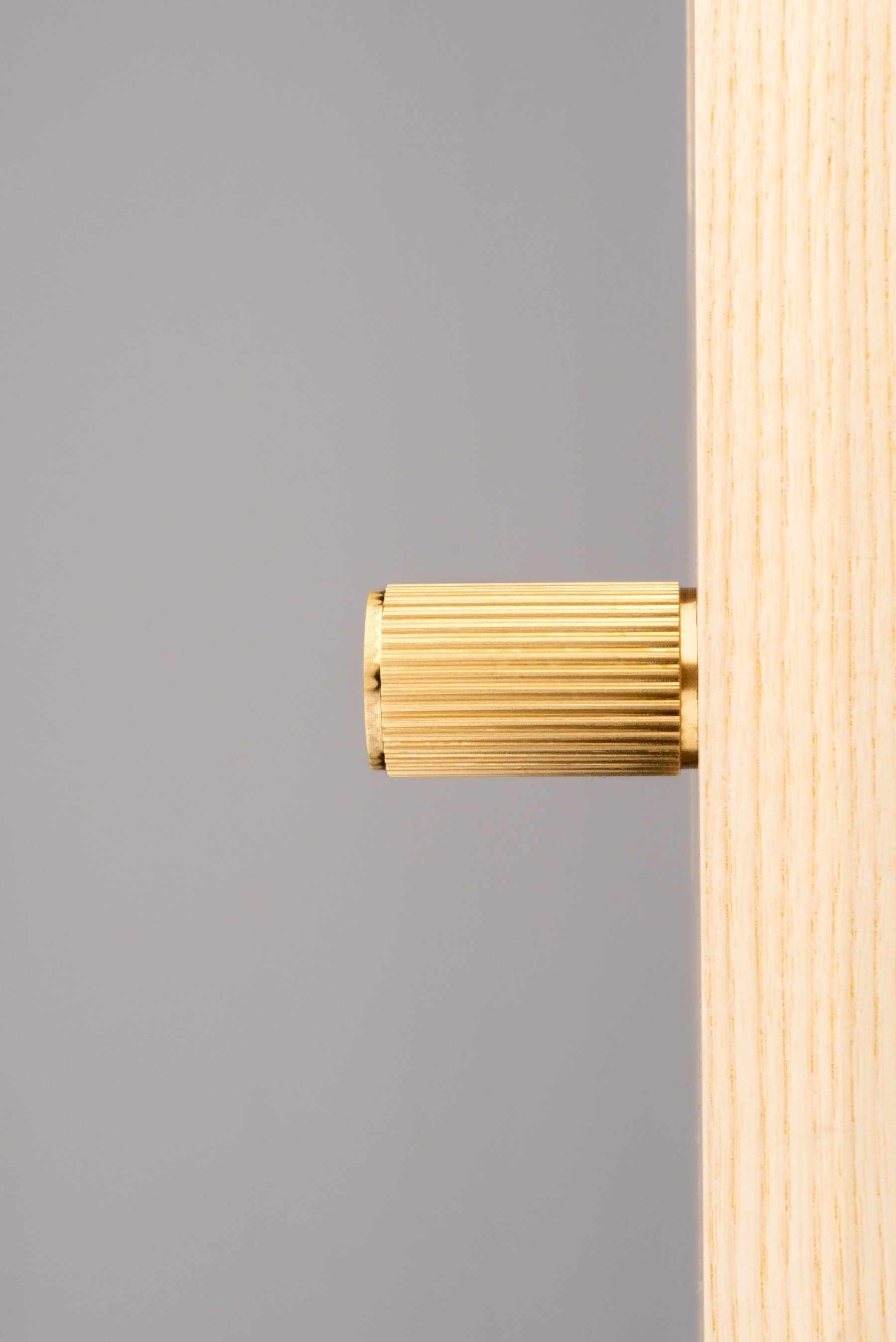 CB Lines | Knop i Børstet Messing med Lak Ø 18 mm x D 30 mm Carlisle Brass FTD712SB FINICC