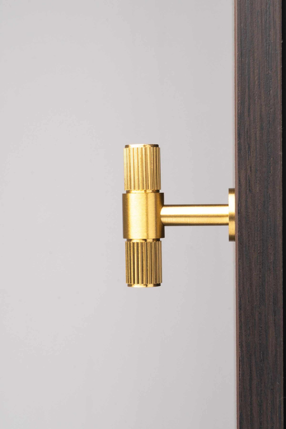 CB Lines T-Bar | Greb/Knop i Børstet Messing med Lak L 50 mm x D 40 mm Carlisle Brass FTD711SB FINICC