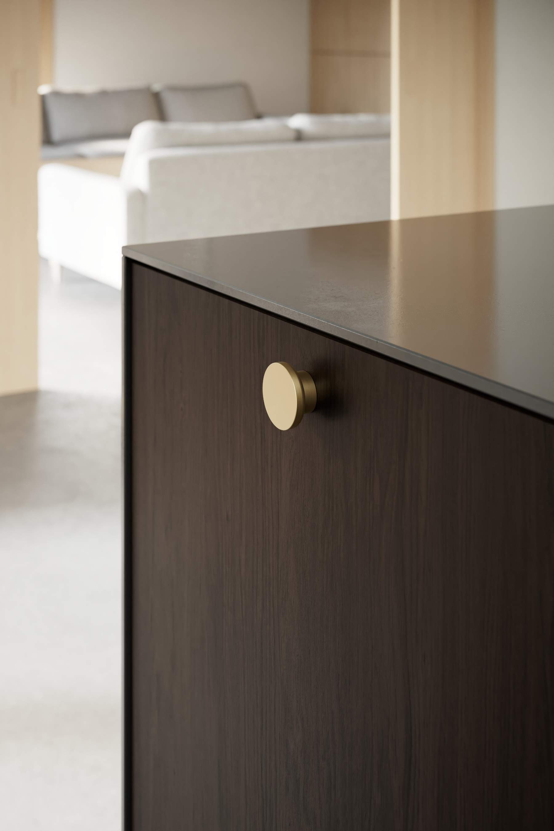 Circle | Knop i Børstet Messing/Guld Finish Ø 50 mm x D 24 mm Furnipart FP-555520050-35 FINICC