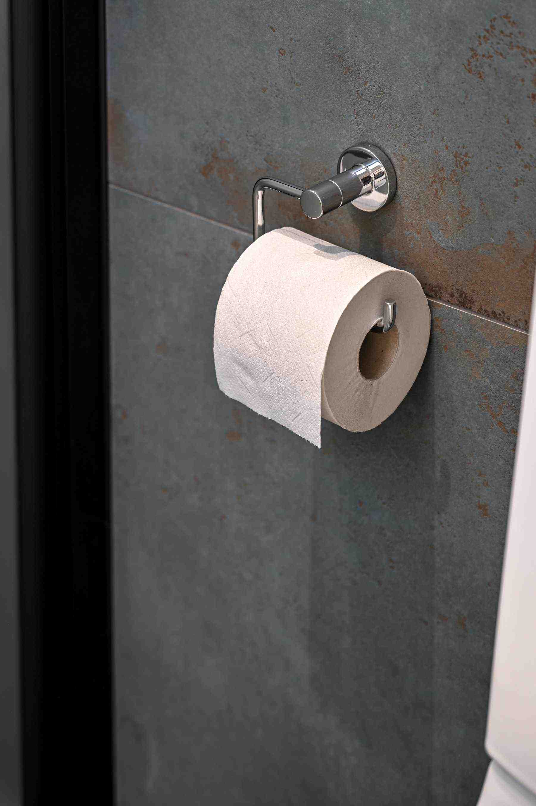 Toulon | Toiletrulleholder i Blank Krom Theofils TF-17000004 FINICC