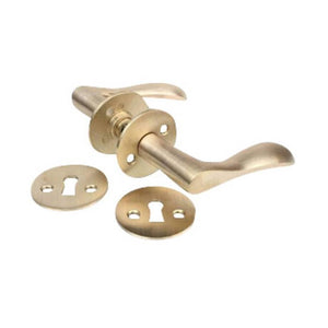 Bellevue | Dörrhandtag i Borstad Mässing utan Lack - 2025 model