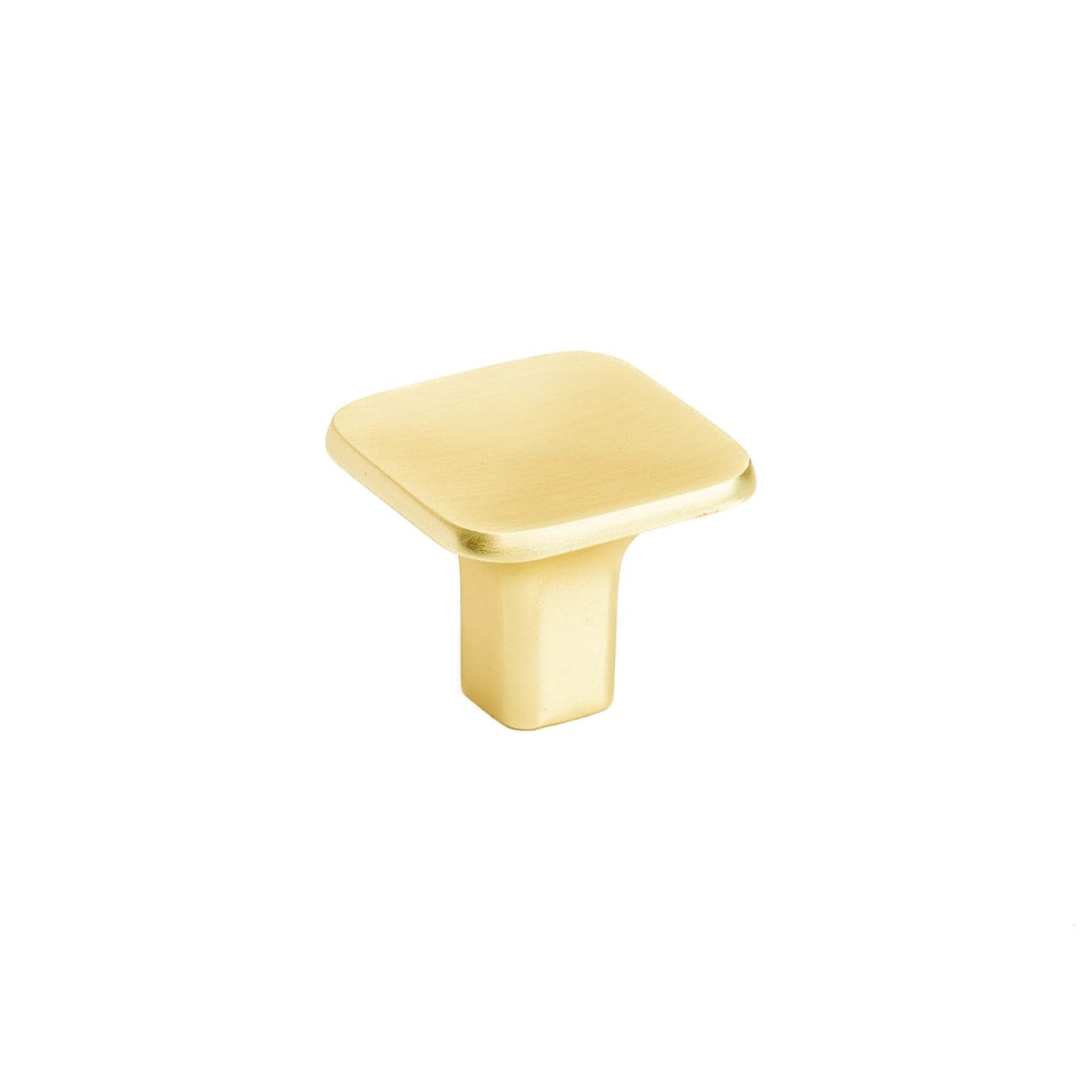 Scoop | Knop i Børstet Messing L 32 mm x D 26 mm METAKOR MK-11.4160.24 FINICC